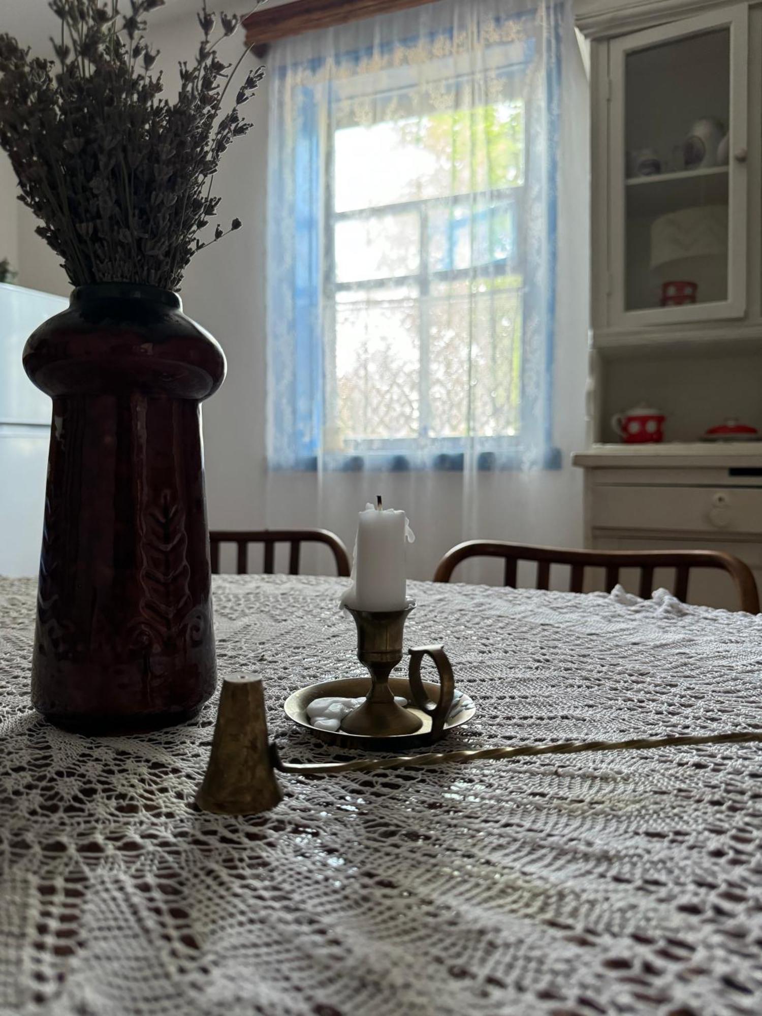 Бабусина Хатка Leplyavo エクステリア 写真